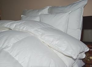 Amazon.com: Royal Hotel Collection 500TC 50oz White Goose ...