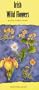 Irish Wildflowers (Appletree Pocket Guides)