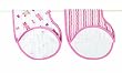 aden + anais Princess Posie Muslin Burpy Bib (2-Pack)