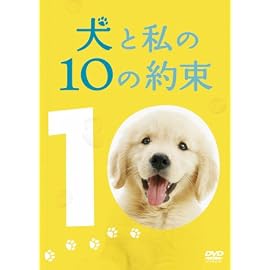 犬と私のやくそくパック(3枚組 初回限定生産)
