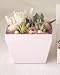 solxsol �����A�� Pink box M 10912