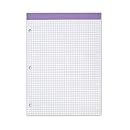 Ampad 20-289, Evidence Dual Pads, Letter Size, Purple  Ruling 4 sq. / In. 100 Sheets Per Pad, 1 Each