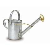 Achla Designs WC-12 Galvanized Long Necked
