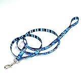 UPC 800443921807 product image for Petco Blue Happy Monster Dog Leash, 3/4
