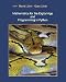 Books : Mathematics for the Digital Age & Programming in Python