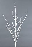IMAGE OF Pack of 12 Nature's Peace Contemporary White Decorative Christmas Branches 42