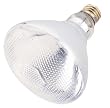 Incandescent Weatherproof 150 Watt Indoor/Outdoor Clear Floodlight Bulb
