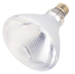 Incandescent Weatherproof 150 Watt Indoor/Outdoor Clear Floodlight Bulb