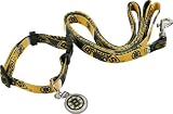 Boston Bruins Dog Collar & Leash Set