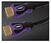 PTC Premium Gold Series High Speed HDMI Cable, 6 feet (2-Pack)