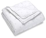 Badenia Bettcomfort 03649620149 4-Jahreszeiten-Steppbett Irisette Dreams 155 x 220 cm wei&szlig;