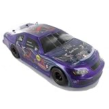 RC Stock Car Racer