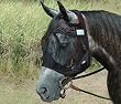 Cashel Quiet Ride Riding Fly Mask Standard Horse Size [Misc.]