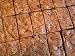 Hermits in a Bar Cookie Mixes (1 Large Mix)