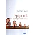 Epigenetik: Wie Erfahrungen vererbt werden