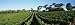Margaret River, Western Australia, Australia Photographic Poster Print by Panoramic Images , 12x36