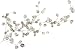ROOMMATES RMK1677GM Silver Dollar Branch Peel and Stick Giant Wall Decal
