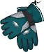 Philadelphia Eagles 2008 Sideline Padded Gloves - Large