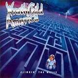 Climbin' the Walls [Vinyl]