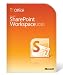 Microsoft-SharePoint-Workspace-2010