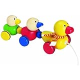 Duck Family