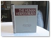 The Human Herpesviruses