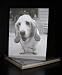 Talk to the Paw! Greeting Cards - Great to be a dog