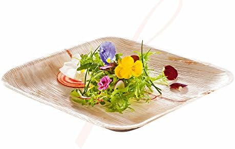 Palm Leaf Disposable Dinner Plate 9.5 In.
