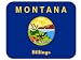US State Flag - Billings, Montana (MT) Mouse Pad
