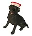 Sandicast Labrador Retriever black w/stocking
