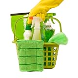 Everyday Green/Eco-Friendly Cleaning Kit