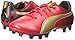 PUMA Cesc V2 FG JR Sneaker (Little Kid/Big Kid)