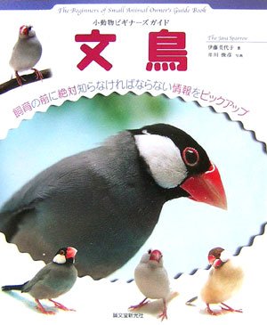 小動物ビギナーズガイド 文鳥 (SMALL ANIMAL POCKET BOOK SERIES)