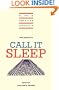 New Essays on Call It Sleep (The American Novel)