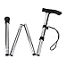 Soles Foldable Cane Walking Stick Silver (SLS802S)