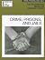 Information Plus Crime: Prisons and Jails (Information Plus Reference Series)