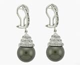 Ladies 0.25ct Diamond and 11mm Tahitian Pearl Spiral Earrings