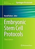 Embryonic stem cell protocols