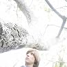 Image of Jeremy Jay