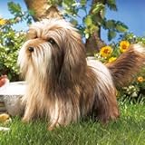 ���N�� �n���h�p�y�b�g