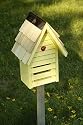 Ladybug House