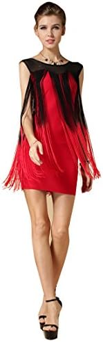 Gatsby Dress 1920s See Through Red Flapper Clubwear Embroidery Dress