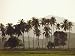 Langkawi, Malaysia Art Photographic Poster Print by Neil Emmerson, 12x9
