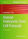 Human embryonic stem cell protocols