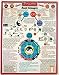 Health & Personal Care : Helion Communications - Feng Shui - Reference Charts