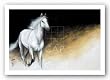 Light and Dark by Milenko Katic 36"x24" Art Print Poster