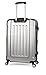 iFLY Carbon Racing Hard Sided Large Checked Luggage, Silver