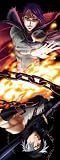 �����BLEACH �Ϲ��� �ڴ������������ǡ� [DVD]