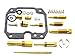 Freedom County ATV FC03111 Carburetor Rebuild Kit for Kawasaki KLF250 Bayou