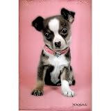 (24x36) Keith Kimberlin (Puppy) Art Poster Print